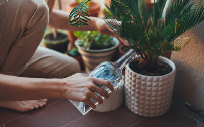 A guide to saving water