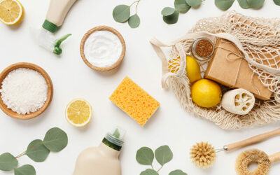 All you need to know about pet-friendly, eco-friendly cleaning products for your home