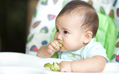 Baby Nutrition Part 3