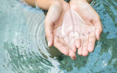 Detox and support the vital filtration systems of your body as you tune your liver and kidneys