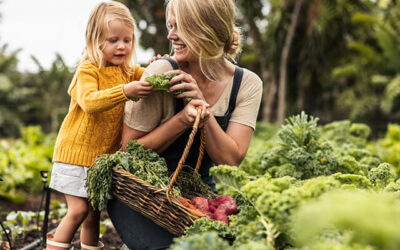 Gardening tips for beginners