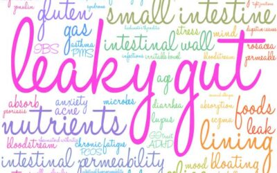 Leaky Gut