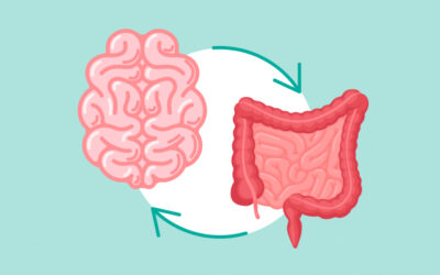 Nurture your gut and take your brain with you!