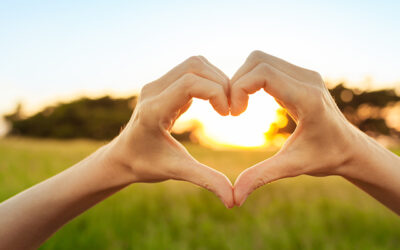 The Heart