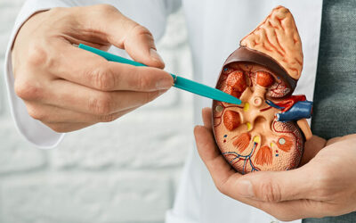 Chronic kidney disease (CKD)