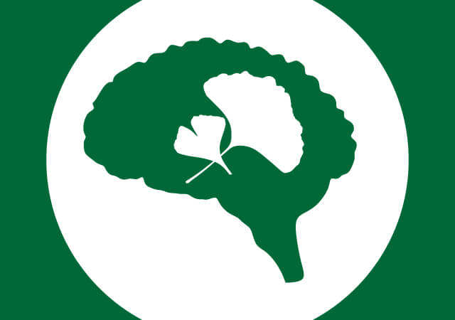 A.Vogel Ginkgoforce – a herbal extract of fresh Ginkgo biloba leaves