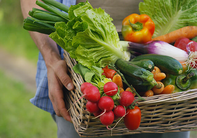 Enjoying the ‘fruits’ of your labour