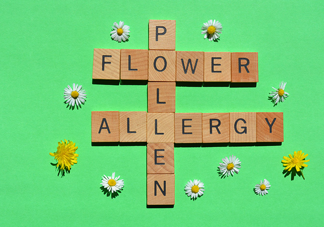 Hay fever is seasonal and is caused by increased pollen count in the air, it starts from around the age of six years old