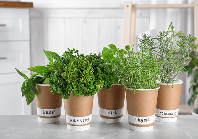 Herbs anyone?
