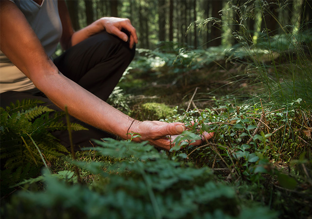 Our top wellness tips for ageing gracefully