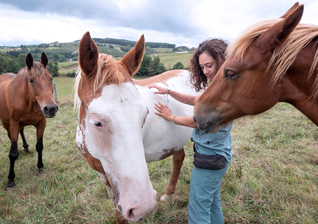 Why is equine-assisted therapy recommended?