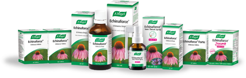 A.Vogel Echinaforce
