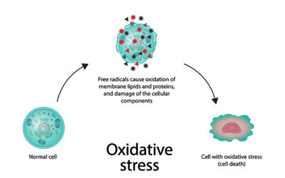 Oxidative Stress – Part 1