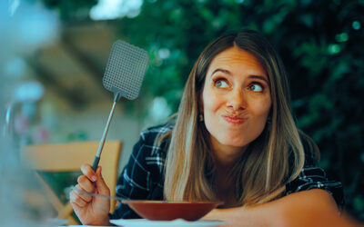Summer pest control: Natural solutions for a bug-free home