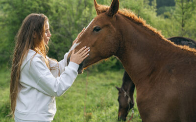 Colic: What it is, how to spot it, and how to keep your horse safe