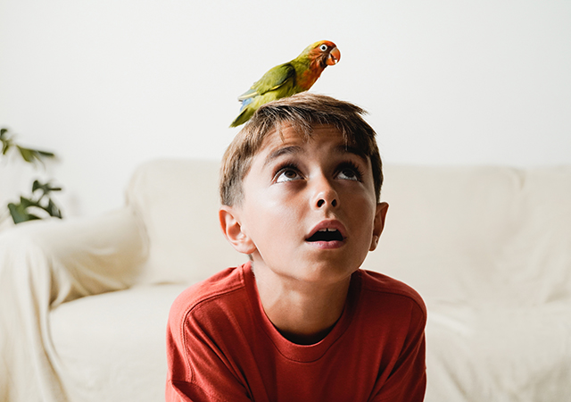 Children and birds: building bonds safely