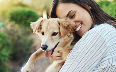 Common dog health issues explained