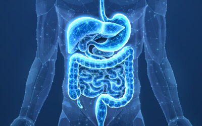 The liver, gall bladder and colon connection