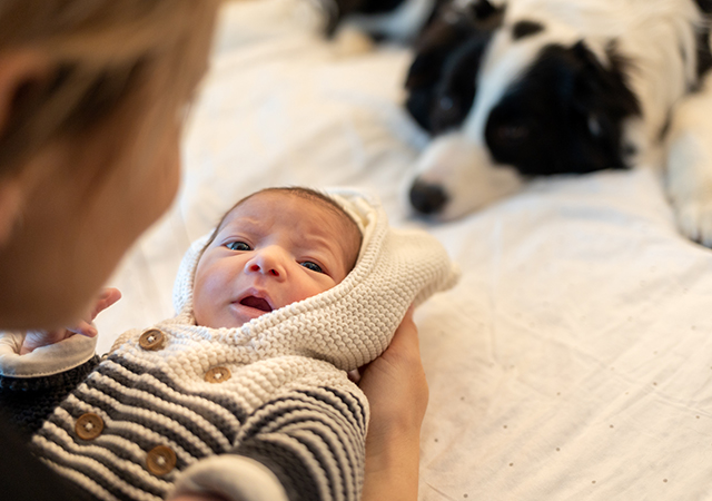 The first introduction